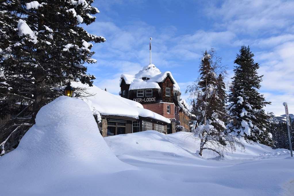 Deer Lodge Лейк-Луиз Экстерьер фото