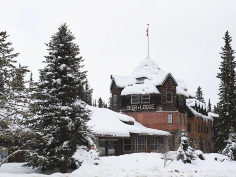 Deer Lodge Лейк-Луиз Экстерьер фото