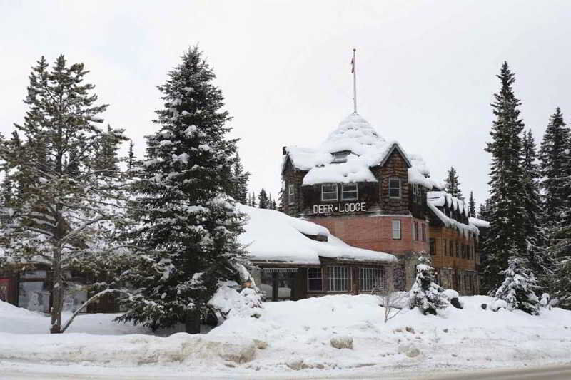 Deer Lodge Лейк-Луиз Экстерьер фото